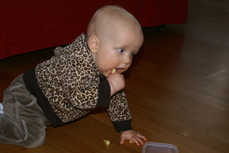 DSC03221.jpg